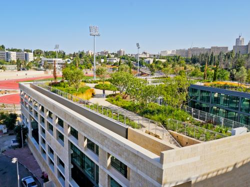 Roof garden with walkways, ornamental grasses, perennials and small trees